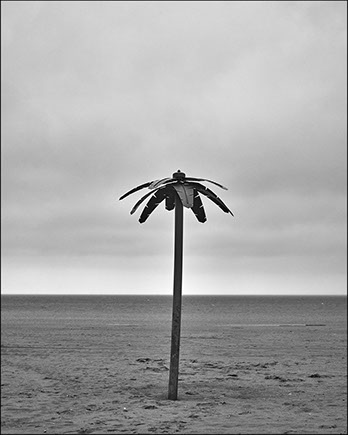 Kenyon Parks - Collections