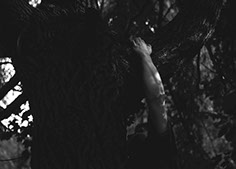 Kenyon Parks - The Animal