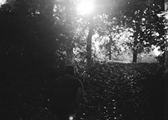 Kenyon Parks - The Animal