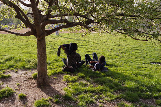 Kenyon Parks - Collections