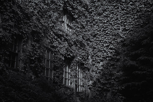 Kenyon Parks - Collections