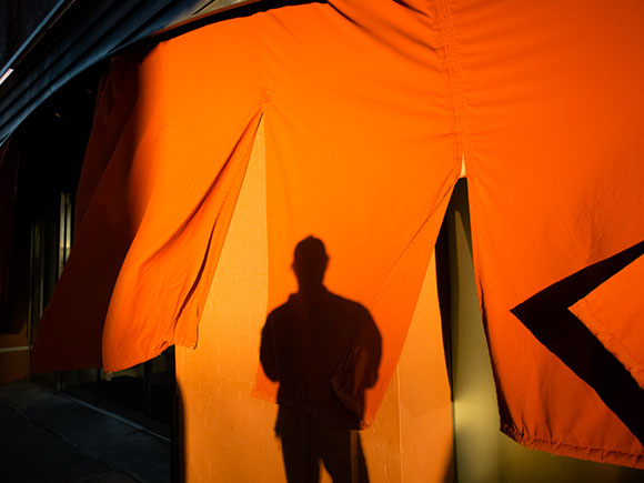 Kenyon Parks - Collections